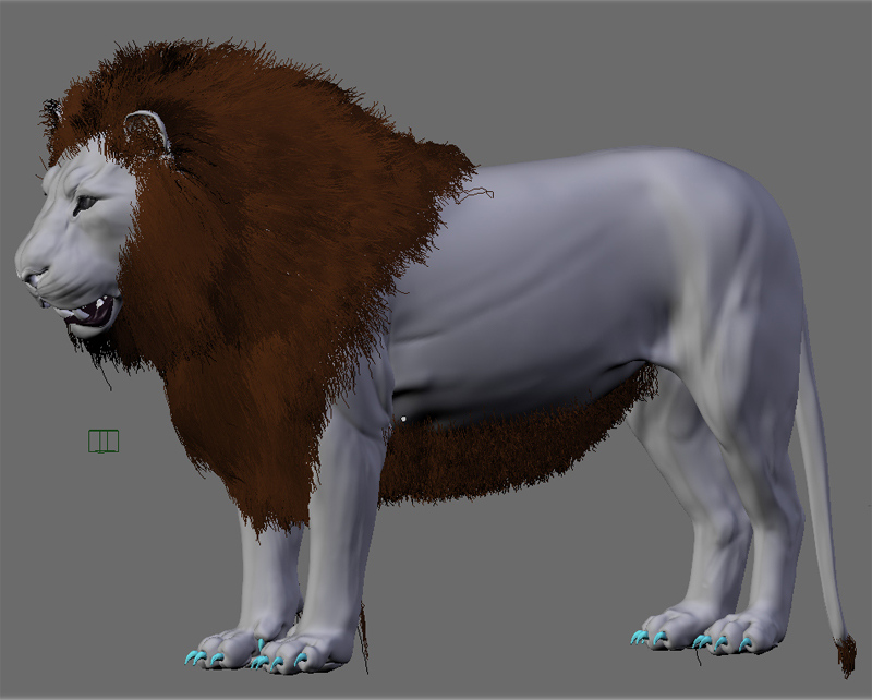 Student Project 5